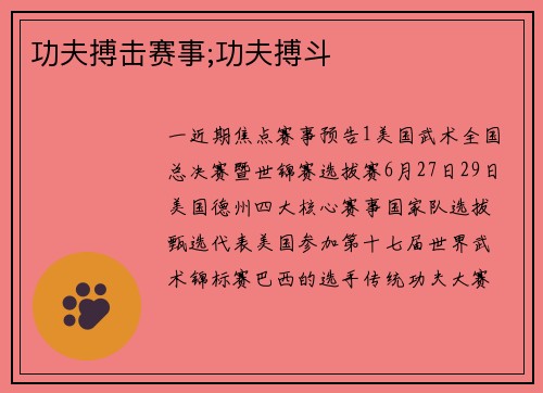 功夫搏击赛事;功夫搏斗